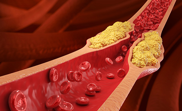 Smart Money Management Tools